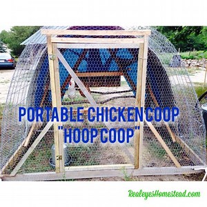 How to Build a Chicken Tractor "Hoop Coop" - Realize Permaculture Homestead