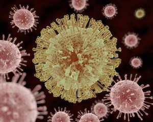 Are Viruses Alive?