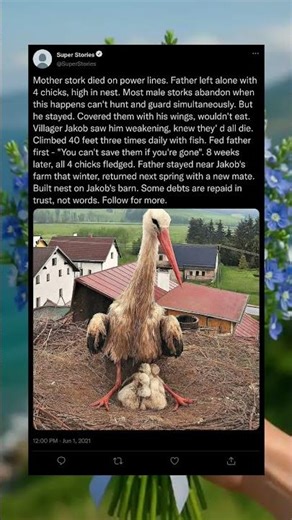 The Father Who Refused to Leave… Even When Everyone Else Did 😢👨‍👧 #EmotionalStory #TrueLove