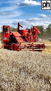 621K views · 5.1K reactions | A Massey Harris 780 special combine harvester in action | Pro Horizon Farming Content | Facebook