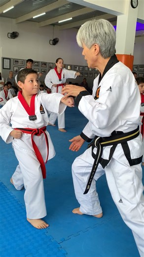 La mejora constante en taekwondo es un principio clave para el desarrollo de un practicante. | IL SHIM taekwondo veracruz