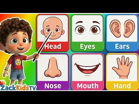 Body Parts for Kids 👦🖐️ | Learn 20 Human Body Parts for Toddlers | Preschool & Kindergarten Lesson