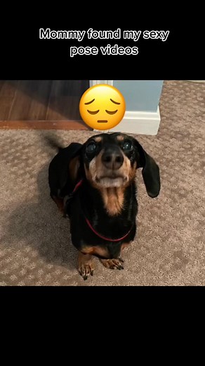 43K views · 1.6K reactions | Charlie just wants to cry hes so sad #charlieskingdom20 | Charlie’s Kingdom | Facebook