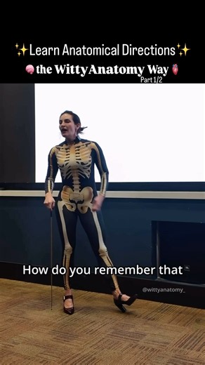 Learn the WittyAnatomy Way!!! Check the link in my bio! 🧠🫀✨