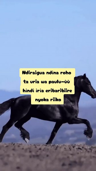 Nguribariba kìrìa giothe githinagia – Lyrics by Bishop Sammy K
