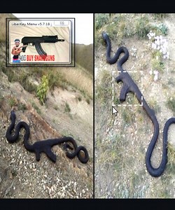 ELNA Concert & Tour History (Updated for 2025) | Concert Archives