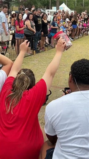 Wiener Dog Derby at Tampa Riverfest 2026