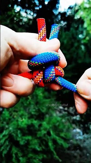 Red Meets Blue! 🔴🔵 The Unbreakable Bond for Two Separate Lines