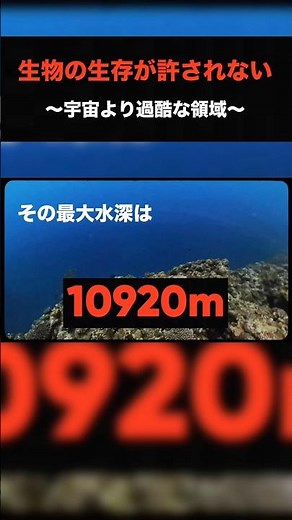 宇宙より過酷な領域『地球最深部チャレンジャー海淵』#海 #深海 #潜水 #マリアナ海溝 #雑学
