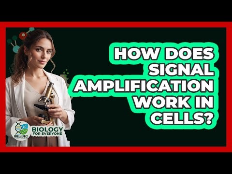 How Does Signal Amplification Work In Cells?
