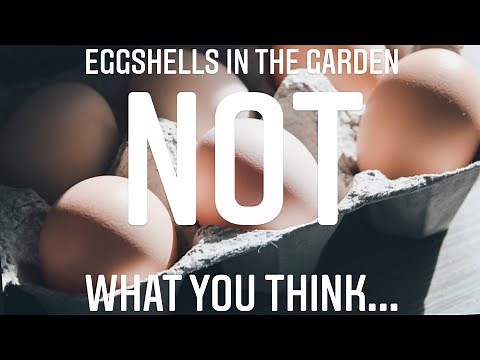HOW TO USE Eggshells In The Garden! PROPERLY FROM A SOIL SCIENTIST 👩‍🔬 | Gardening in Canada 🌿