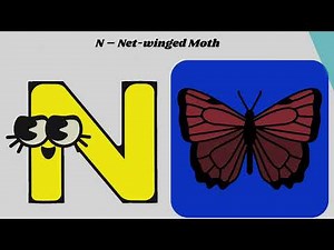 ABC Rhyming Song for Kids | A to Z Insect Learning with 🐝🪲🪳 | Fun Alphabet Song 🎶