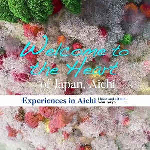 Outstandingly easy to access! Travel to Aichi, Japan for a trip full of attractions. Where technology and tradition, urban areas and nature coexist. #ExperiencesInJapan #VisitJapan #日本旅行 #愛知県 #AichiPrefecture #日本 #Japan | Aichi Now
