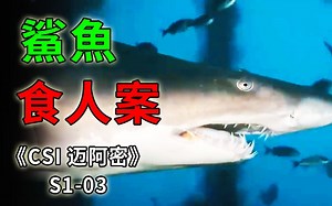 鲨鱼腹中暗藏人类断臂，10名偷渡客命丧大海，尸骨无存《CSI 迈阿密》S1-03