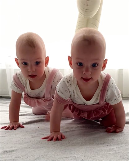 202K views · 492 reactions | Nine months of double trouble  | MetDaan Cakes | Facebook