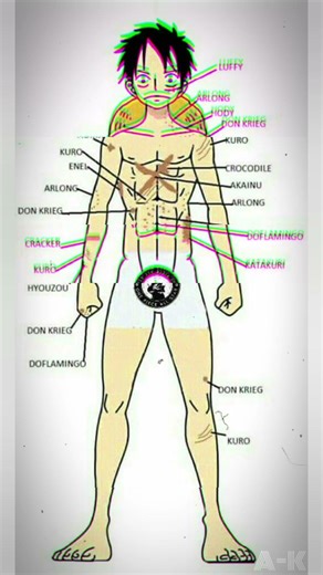 Luffy Anatomy 😶