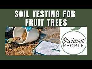 Soil testing for fruit trees