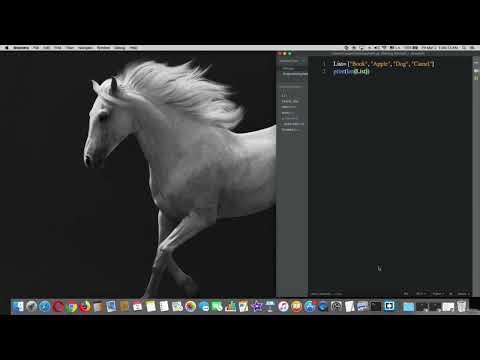 31 Using len method Python
