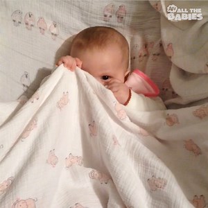 Watch these babies disappear! 🚪👶🕵️‍♀️ | All The Babies