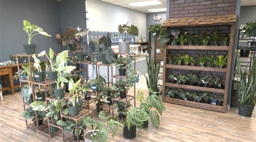 607Plants set to open on the Vestal Parkway