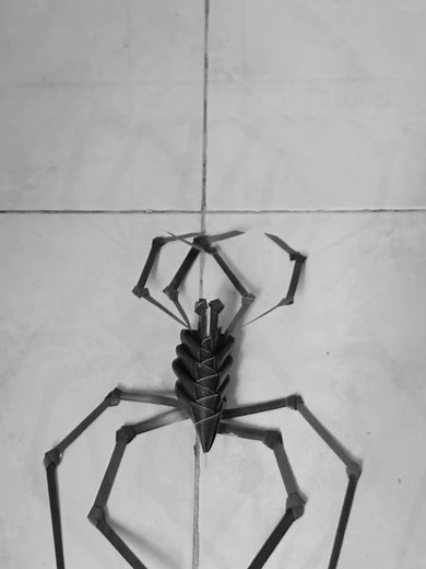 Tutorial Membuat Laba-Laba dari Daun Kelapa