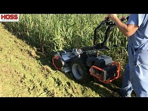 How to Build Your Garden Soil with Cover Crops