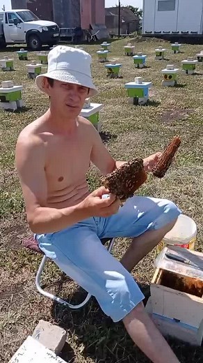 Beekeeping Insights: A Day in the Life of a Bee Keeper