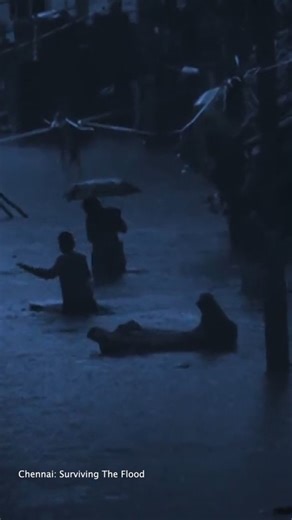 7.6K views · 31 reactions | December 2015: Flooded roads, stranded families, and a city that refused to give up. Here’s how Chennai fought back, together. Tune in to Chennai: Surviving The Flood at 4:30 PM on Discovery. #Chennai #ChennaiFloods #ChennaiRains #DiscoveryChannelIn #DiscoveryChannelIndia | Discovery Channel India | Facebook