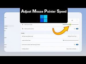 How to Adjust Mouse Pointer Speed on Windows [NEW]