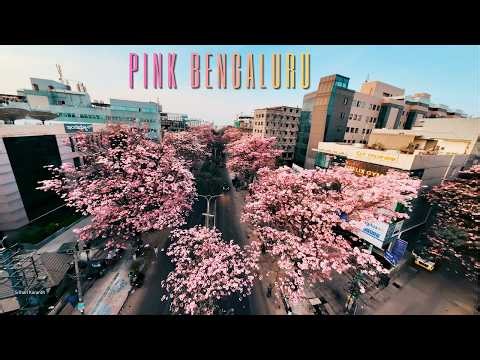 Aerial view of one of the many Pink Streets in Tech City! 🌸🩷