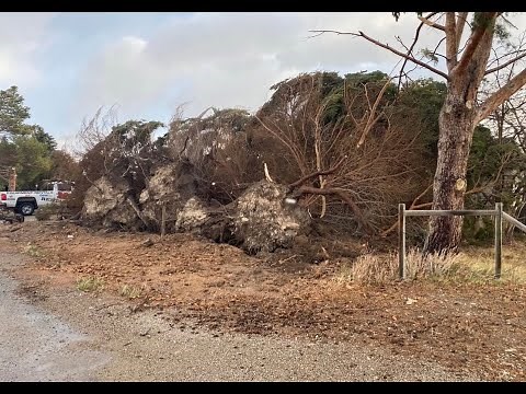 Weather Alert Day: Damaging winds, rain and mountain snow expected through Wednesday