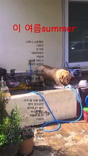 이 여름 우쨀꼬!