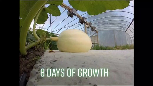 Phil Groenewold on TikTok