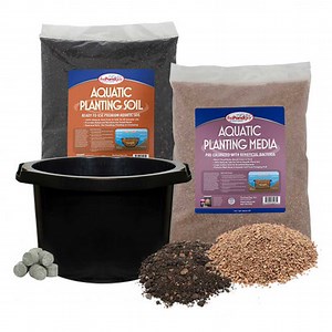 Planting Kits for Water Lilies & Lotus