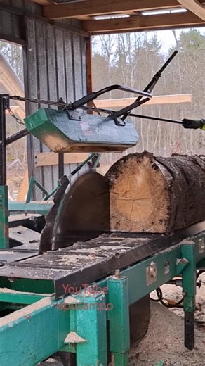 Huge Spruce 2nd Cut & Slab Removal. #apusampo #woodworking #wood