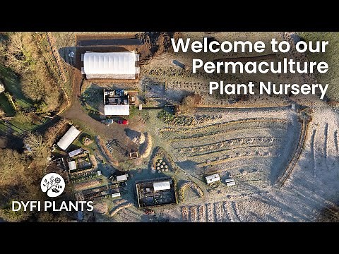 Welcome to Dyfi Plants Permaculture Nursery