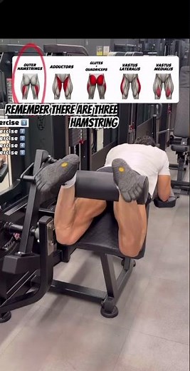 How to fully develop a hamstrings