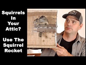 How To Squirrel Proof Your Attic With the Squirrel Rocket. Mousetrap Monday