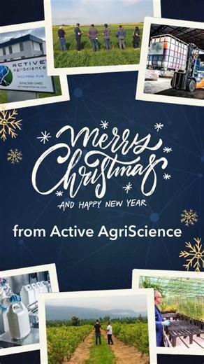 Active AgriScience on Instagram: "🎄 Happy Holidays from Active AgriScience! 🎄 As we close out the year, we want to thank the growers, retailers, researchers, and partners who made it a successful one. At Active AgriScience, our focus remains the same: developing science-backed solutions that help crops reach their full potential. From seed treatments and foliar nutrition to advanced nitrogen management, we’re proud to support agriculture across Canada and beyond. Thank you for your trust and c
