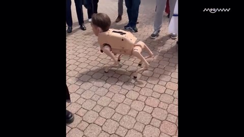 Watch-dog robots with Elon Musk, Zuckerberg faces stun students at Stanford