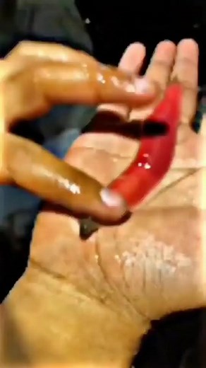 penikmathutannusantara on Instagram: "Apakah kalo ketempelan cacing ini bakal bisa jadi titan? . . . SC Viti ariffbahran Via @sahabat_pendaki ------------------------------------------- JUAL ALAT CAMPING TERMURAH @pilaradventure_store #penikmathutannusantara"