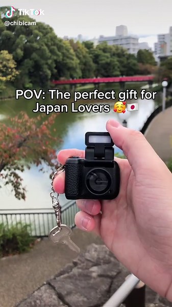 Cherished Memories: Exploring Vintage Cameras