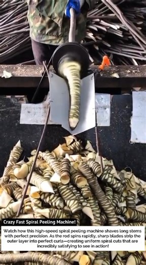 Crazy Fast Spiral Peeling Machine! Oddly Satisfying Factory Process!