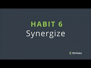 9 - Habit 6: Synergize