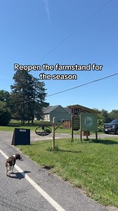 55K views · 2K reactions | Simple restock for now until the produce is ready! 殺 #farmstand #restock #farmersmarket | Stout Ridge Ranch | Facebook