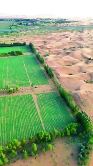 🇨🇳 China is erasing deserts from its map.By far, 65 million mu of desert has been greened. That's around the same area of Denmark.