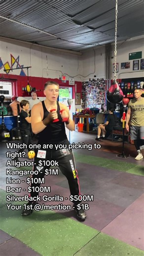 Choosing Fighters: Mike Tyson vs. Wild Animals