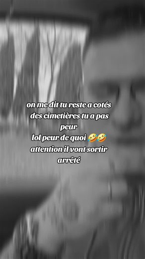 Vidéos de jason-my-life (@jasjustm) avec Jimmy - Sped Up - Cats On Trees & Calogero