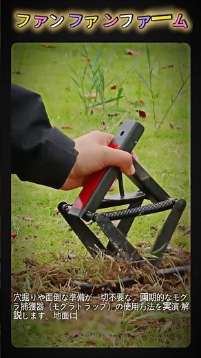 モルが嫌う この罠の正体 #現場 #加工 #モグラ退治 #芝生ケア #便利工具