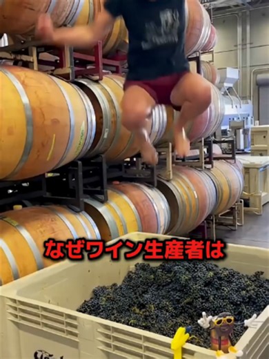 価値あるワインの製造方法